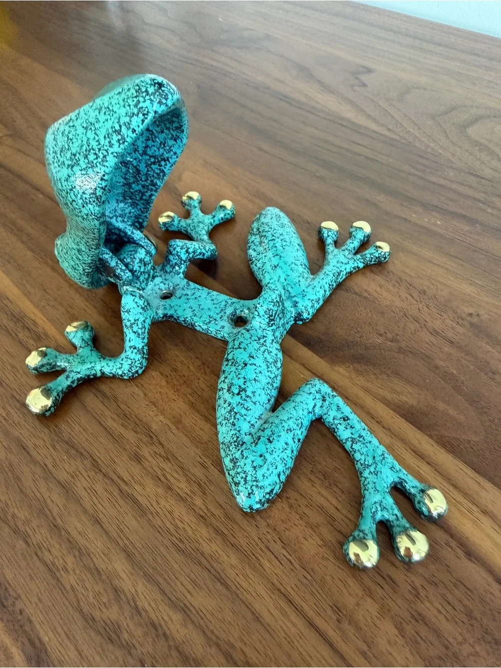 Michael Healy frog door